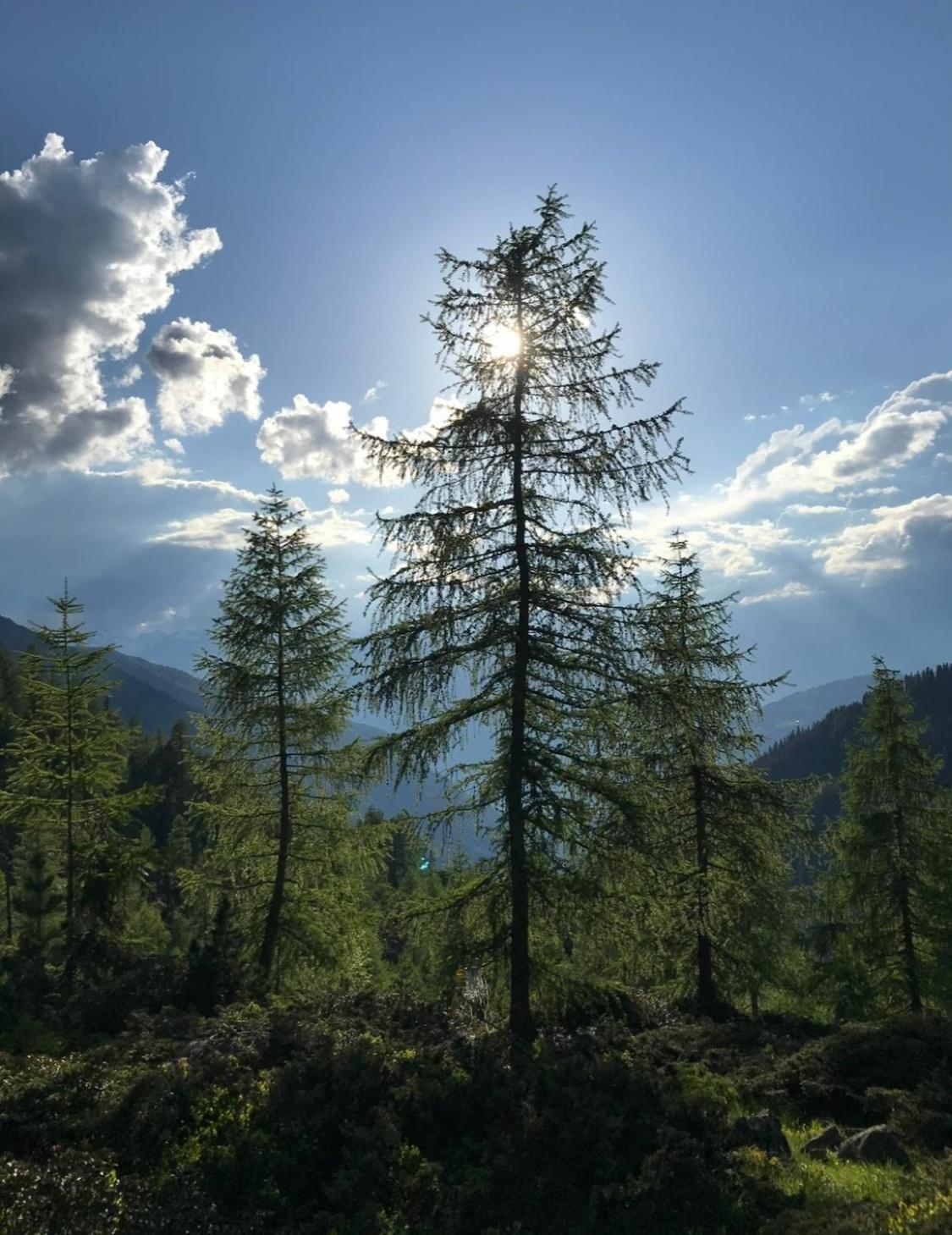 Apart Sonnenheim Kaunertal Esterno foto